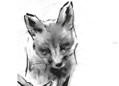 Bestiaire des alpes