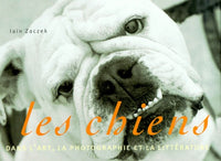 Les chiens dans l'art, la photographie et la littérature