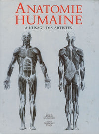 Anatomie humain à l'usage des artistes