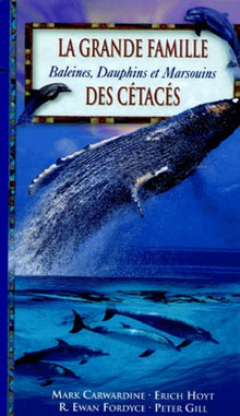 La grande famille des cétacés : baleines, dauphins et marsouins