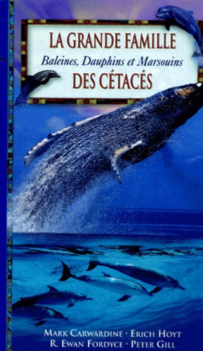 La grande famille des cétacés : baleines, dauphins et marsouins