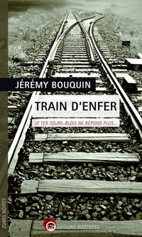 Train d'enfer: Le TER Tours-Blois ne répond plus...