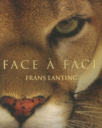 FO-25 FACE A FACE LANTING