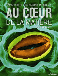 Au coeur de la matière: Découverte des mondes invisibles
