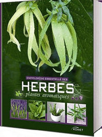 Encyclopédie essentielle des herbes & plantes aromatiques