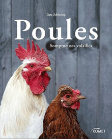 Poules: Somptueuses volailles