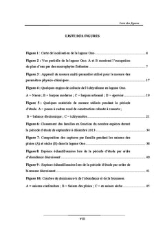 Etudes des peuplements ichtyologiques de la lagune Ono