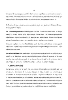 Le cancer de la vessie