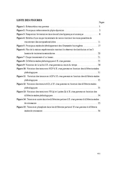Valorisation de la biomasse d'echinochloa crus-pavonis (kunth.) Schult
