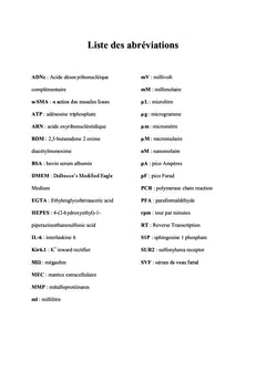 Du fibroblaste au myofibroblaste: l'histoire d'une conductance