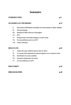 Du fibroblaste au myofibroblaste: l'histoire d'une conductance