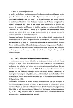 Du fibroblaste au myofibroblaste: l'histoire d'une conductance