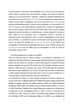 Du fibroblaste au myofibroblaste: l'histoire d'une conductance