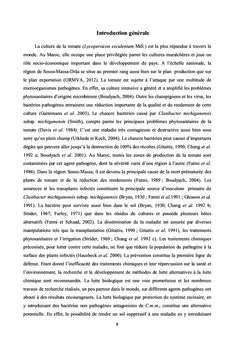 La lutte biologique contre le chancre bactérien de la tomate