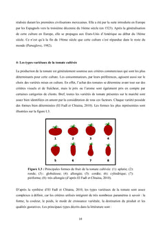 La lutte biologique contre le chancre bactérien de la tomate