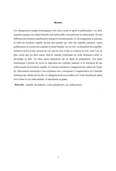 Études morphologique et histologique du développement de l'ovaire