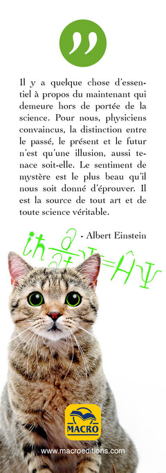 20 questions pour comprendre la physique