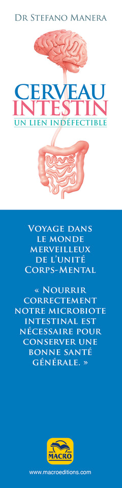 Cerveau - Intestin. Un lien indéfectible
