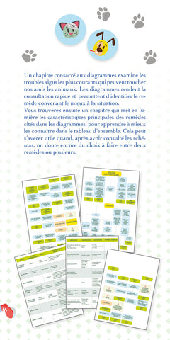 Première trousse homéopathique pour chiens et chats
