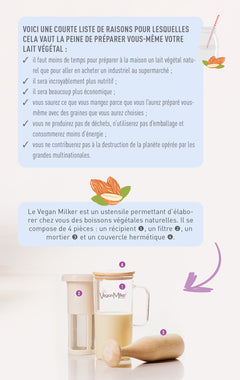 Laits végétaux faits maison