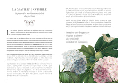 L'herbier des parfums