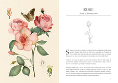 L'herbier des parfums