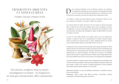 L'herbier des parfums