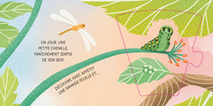 De la chenille au papillon