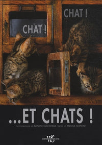 Chat ! Chat ... et chats !