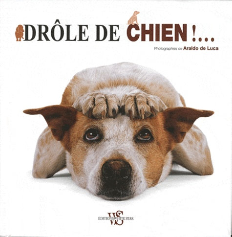 Drole de chien