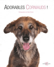 ADORABLES CORNIAUDS