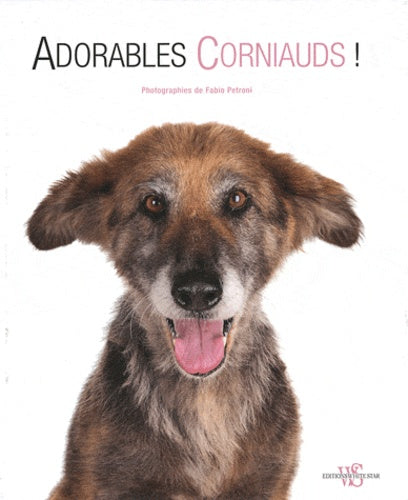 ADORABLES CORNIAUDS