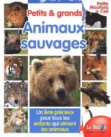 Petits moutons du ciel