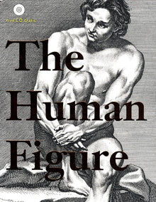 The Human Figure