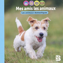 Les animaux domestiques