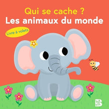 Qui se cache ? Les animaux du monde
