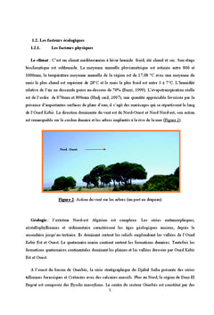 Etude diachronique et cartographique de la zone humide Guerbes-Sanhadj