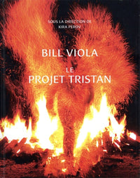 Bill Viola. Le Project Tristan