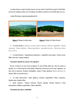 Etude diachronique et cartographique de la zone humide Guerbes-Sanhadj