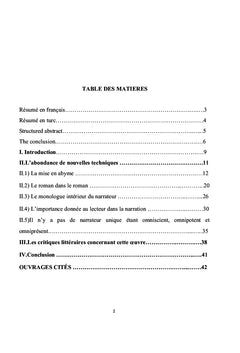 Strategies d'ecriture et fusion romanesque