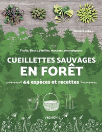 Cueillettes sauvages en forêt