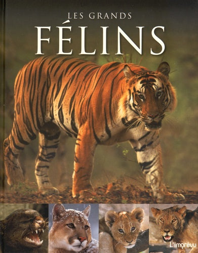 LES GRANDS FELINS
