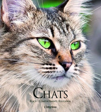 Chats