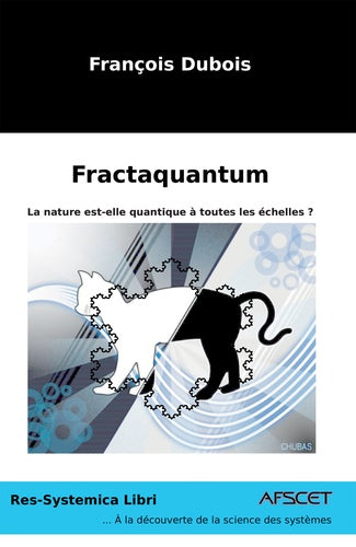 Fractaquantum