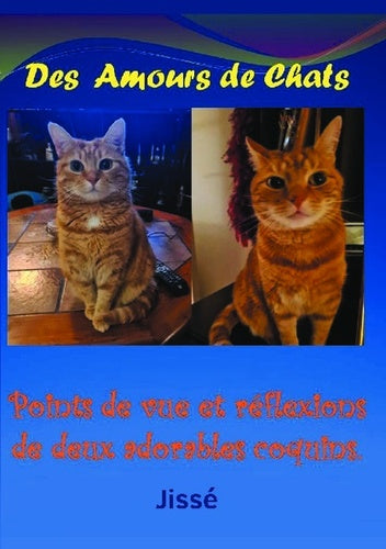 Des amours de chats
