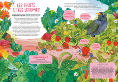 Les aventuriers du jardin