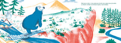 La peau de l'ours