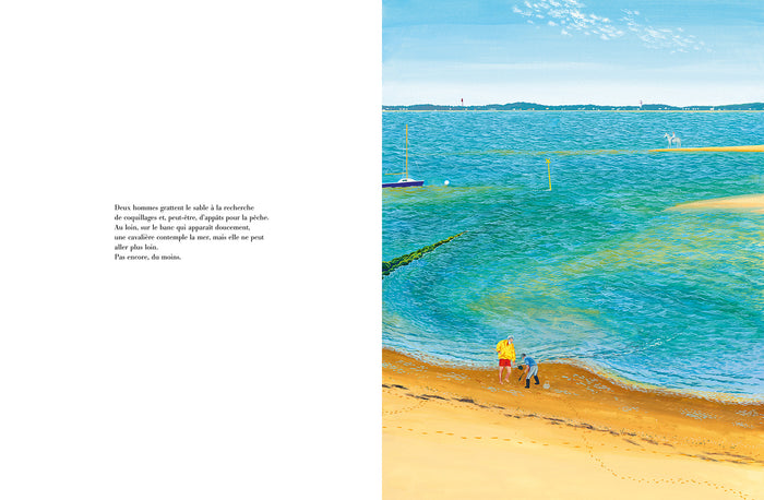 Marée haute Marée basse