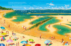 Marée haute Marée basse