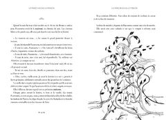 La maison sous la maison